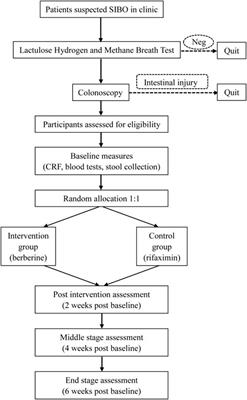Berberine and rifaximin effects on small intestinal bacterial overgrowth: Study protocol for an investigator-initiated, double-arm, open-label, randomized clinical trial (BRIEF-SIBO study)